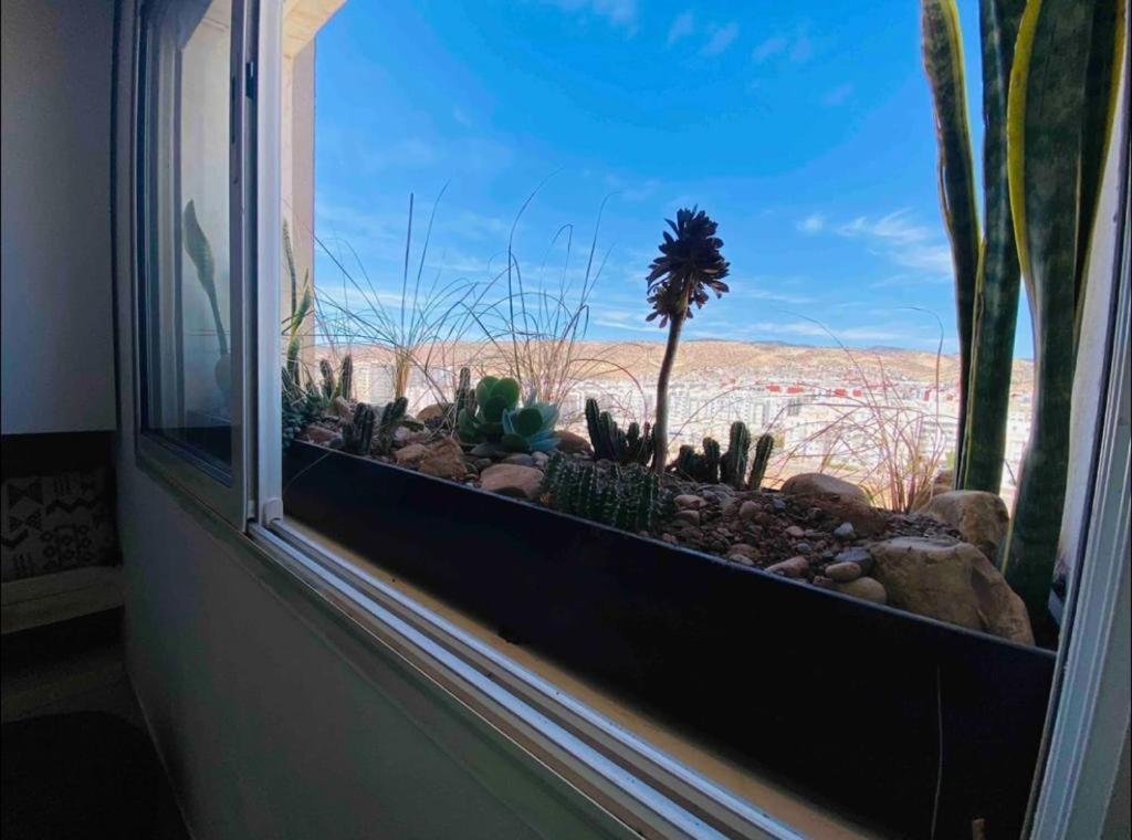 Sun Rise Islan Appart Apartment Agadir Bagian luar foto